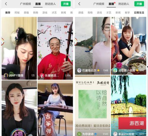 娱乐圈吃瓜冰雨直播视频,一场吃瓜盛宴